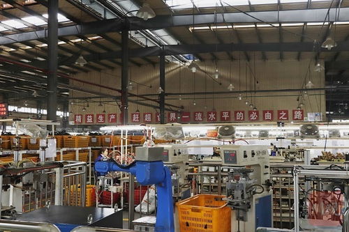 再造一個新川環(huán) 大竹川環(huán)科技擴能建新廠，科技中介服務賦能產(chǎn)業(yè)升級